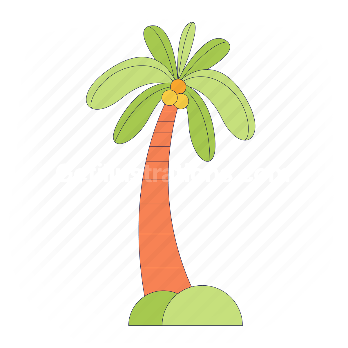 palm, tree, palm tree, ecology, tropical